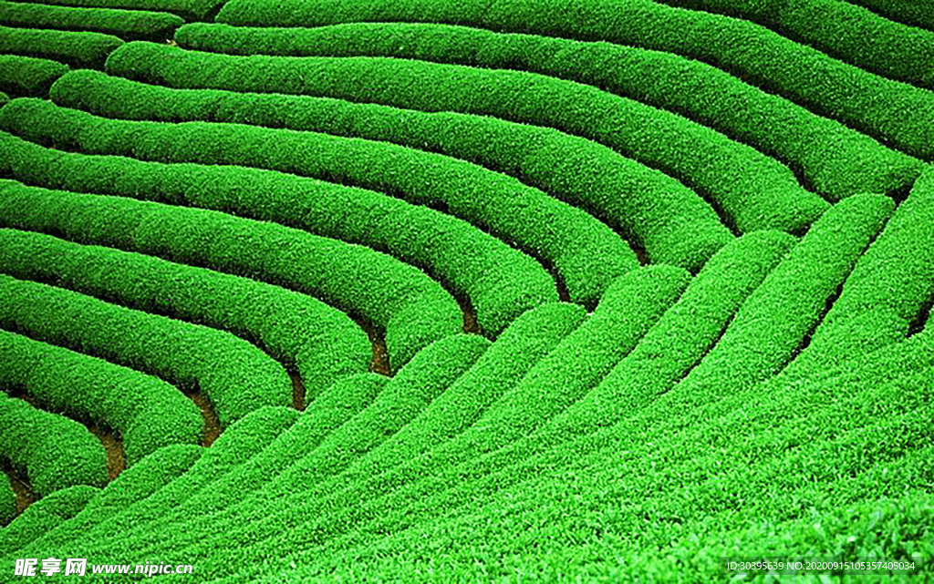 风景图片