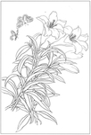 花卉白描