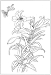 花卉白描