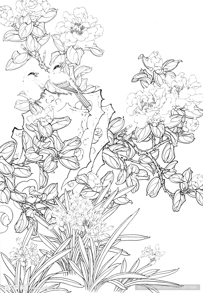 花卉白描