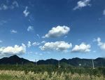 山景