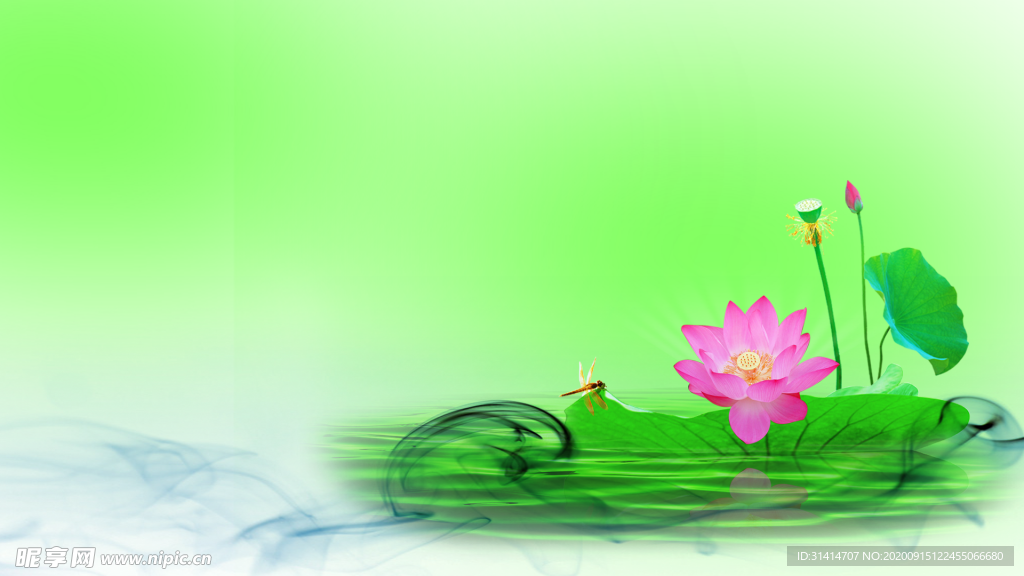 荷花背景
