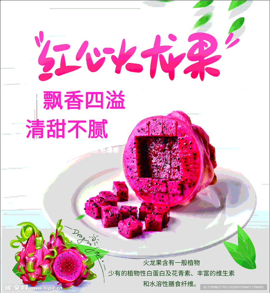 火龙果 红心火龙果 水果