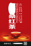 蛋白桑茶