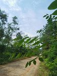 乡间小路