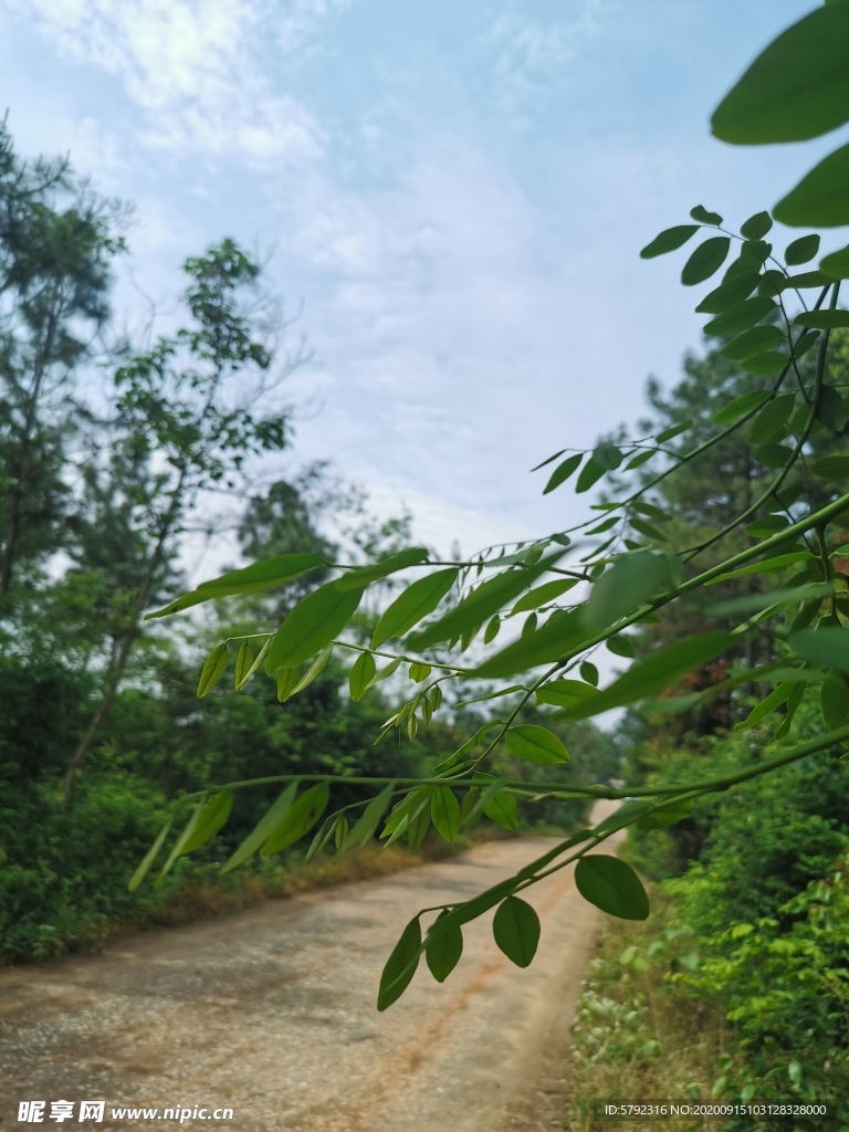 乡间小路