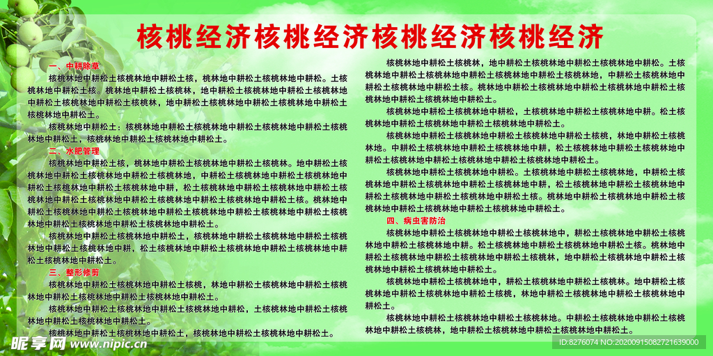 核桃