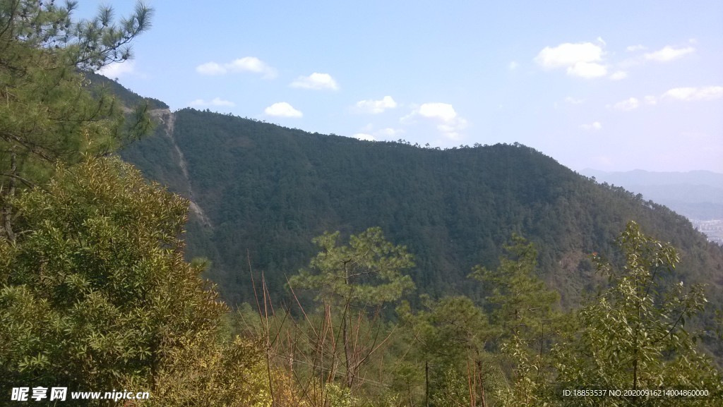 山