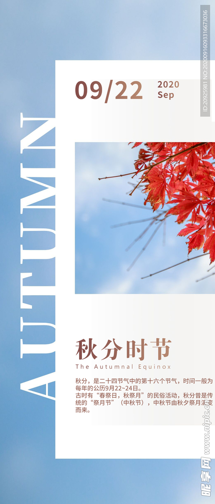 秋分