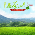 茶叶茶饮活动促销优惠淘宝主图