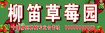 草莓园门头
