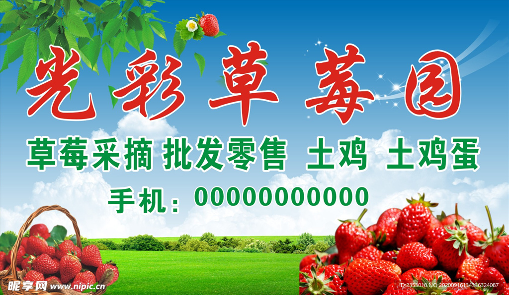 草莓采摘园