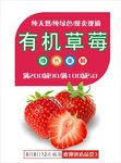 草莓