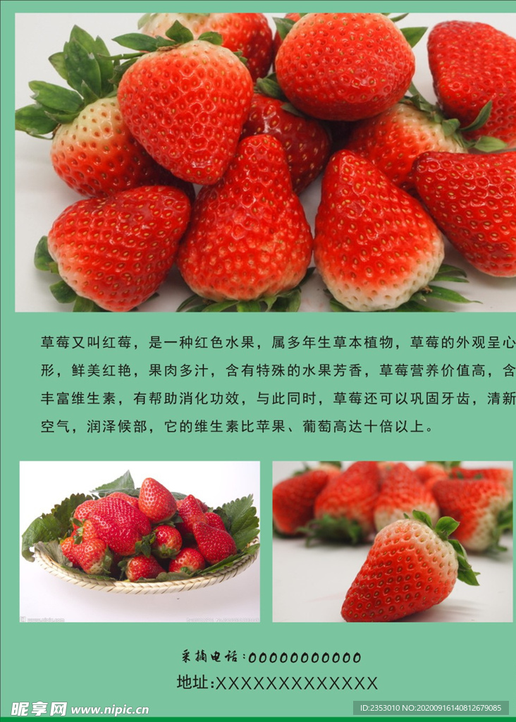 草莓
