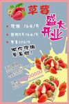 草莓