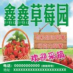 草莓采摘园