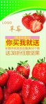 草莓促销海报