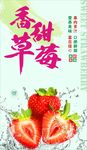草苺宣传单