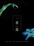 水珠 叶子水珠