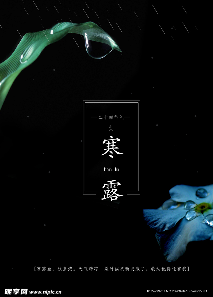 水珠 叶子水珠