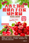 樱桃海报