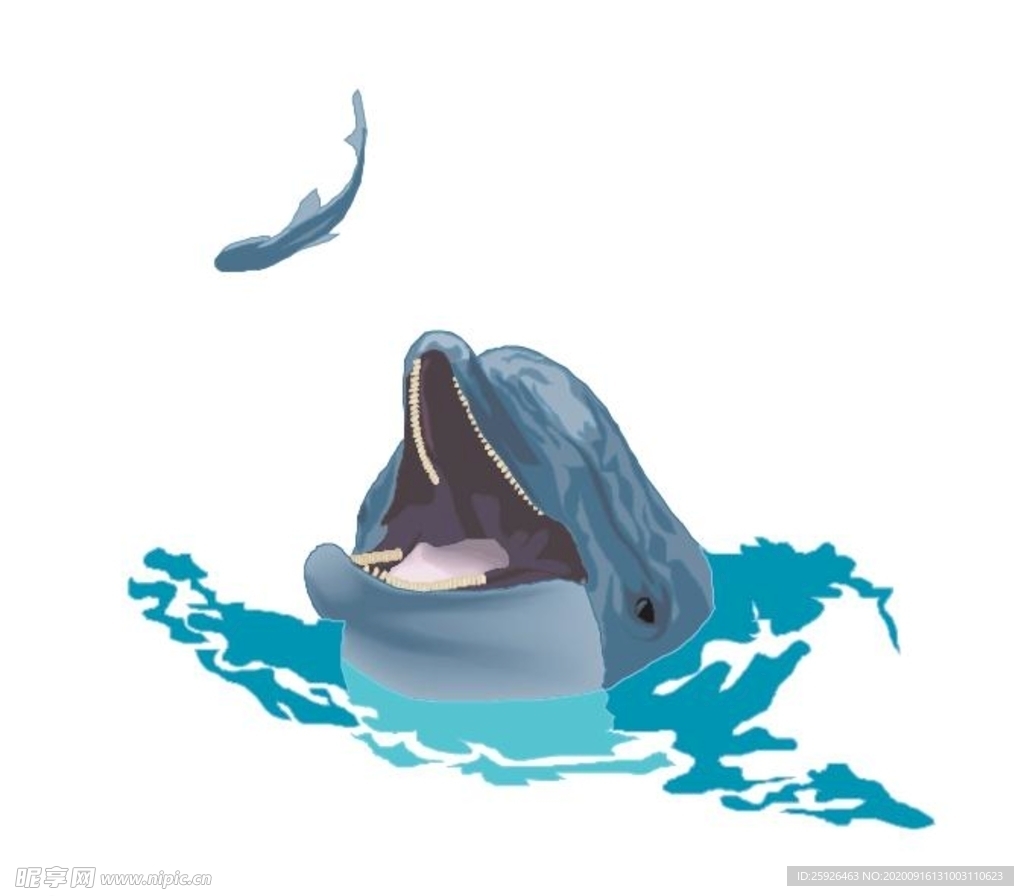海豚