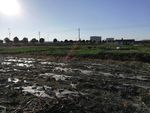 蓝天斜阳田野风景
