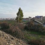 苹果果园风景
