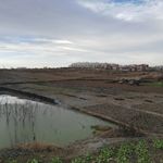 乡村田野湖泊风景