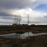 乡村农田风景