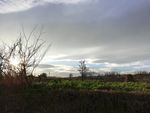 田野风景