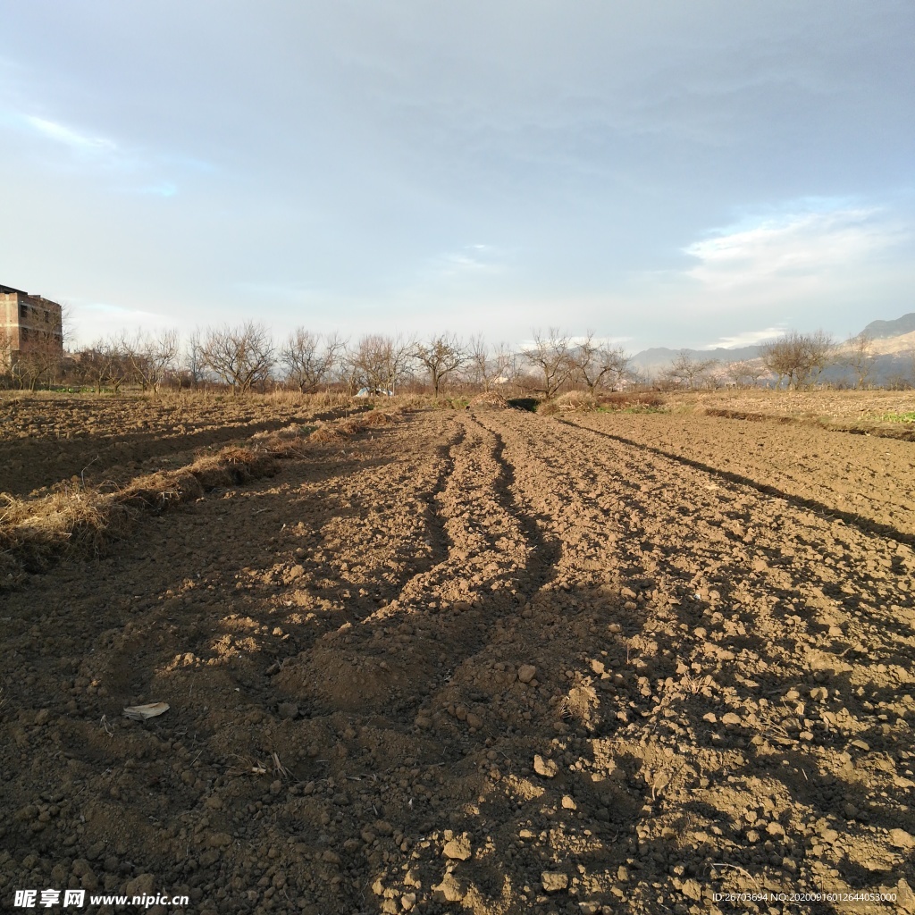 田野土地风景