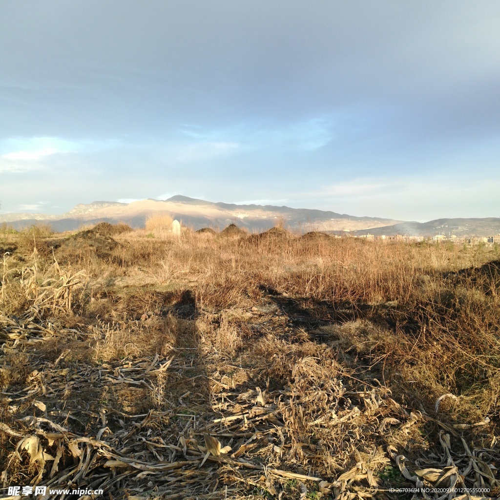 荒地田野风景