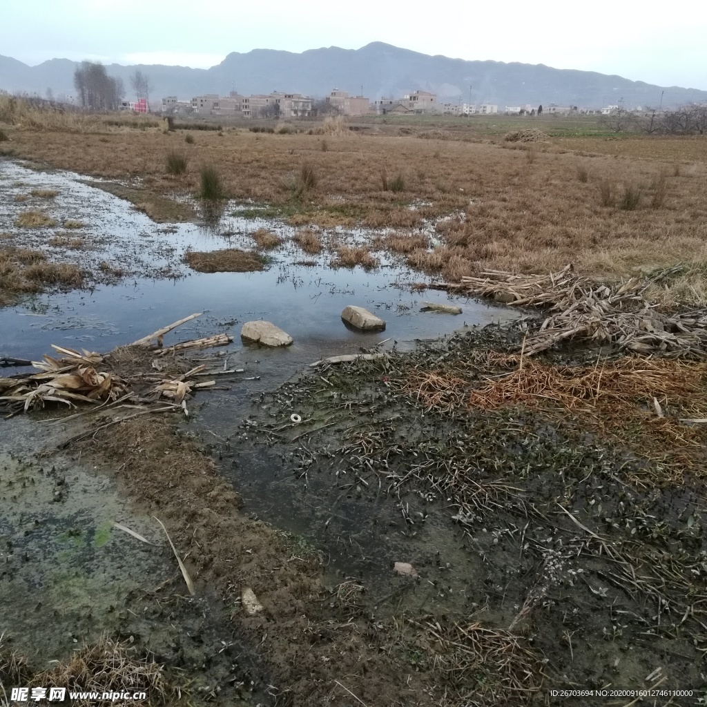 乡村田野荒地风景