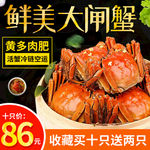 中秋海报