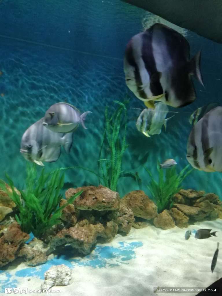 海洋世界