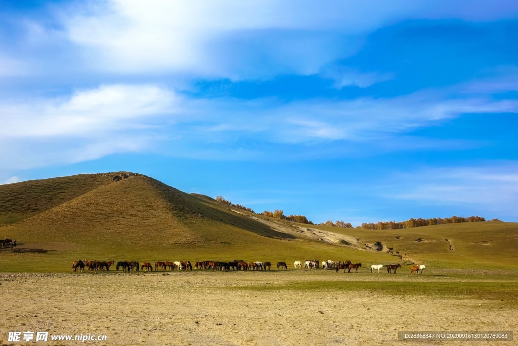 大自然风景