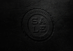 LOGO样机