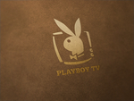 LOGO样机