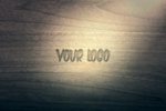 LOGO样机