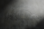 LOGO样机
