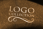 LOGO样机