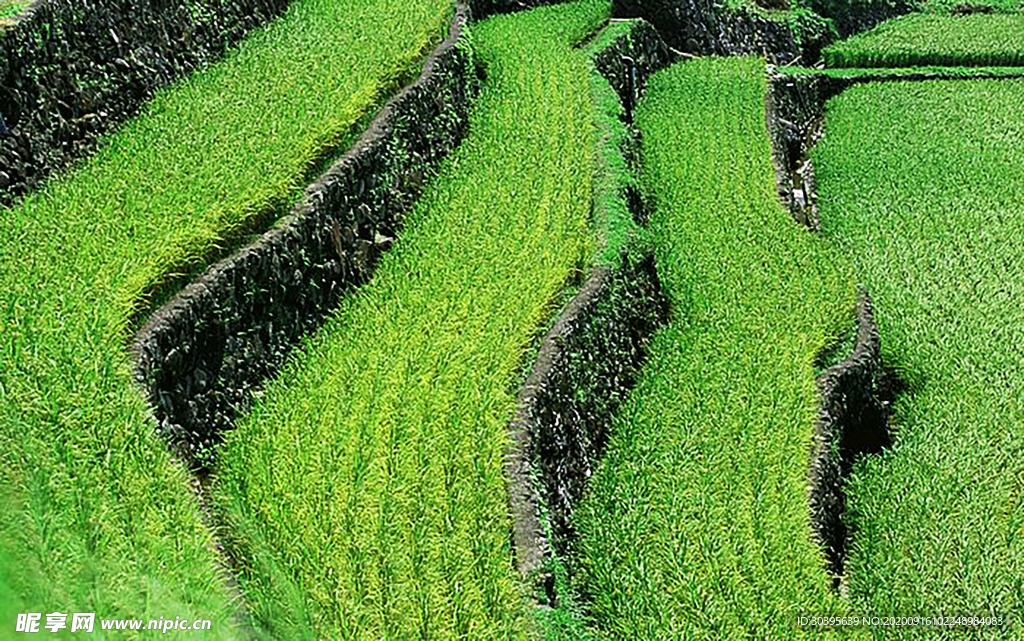 风景图片