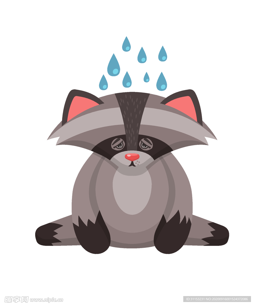 浣熊