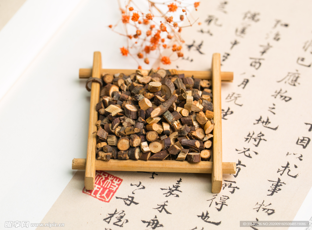 桂枝