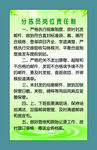 分拣员岗位责任制
