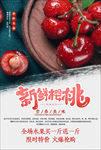 水果海报