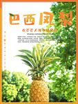 水果海报