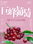 水果海报