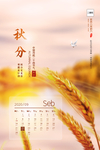 清新简约二十四节气之秋分节